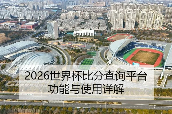 2026世界杯比分查询平台功能与使用详解