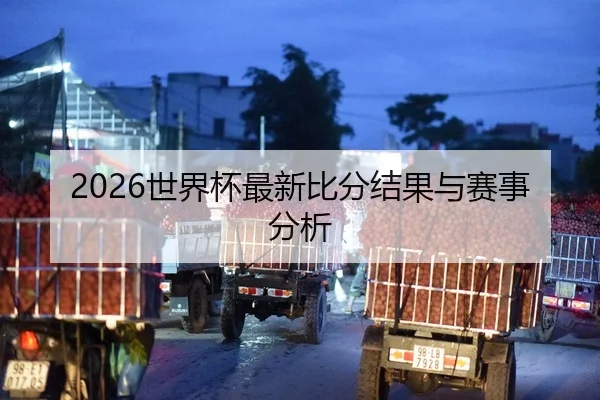 2026世界杯最新比分结果与赛事分析
